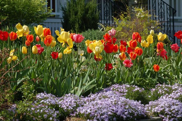 Decorare il giardino con le bordature floreali: 14 idee