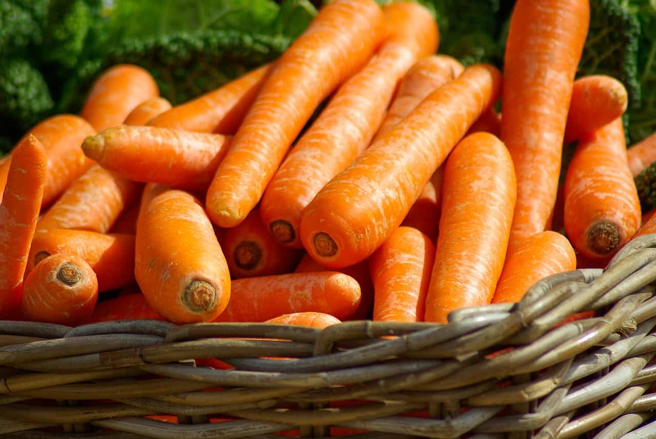 Coltivare le carote in vaso