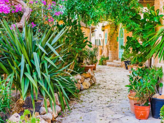il terrazzo ispirato al giardino mediterraneo