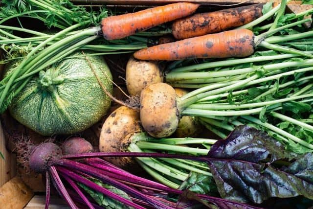I 10 ortaggi più facili da coltivare - Guida Giardino