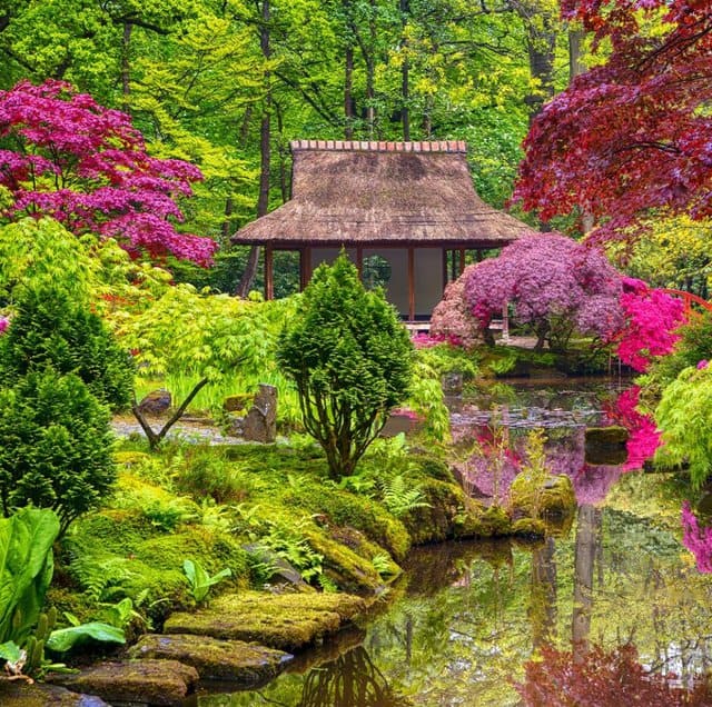 Giardini giapponesi