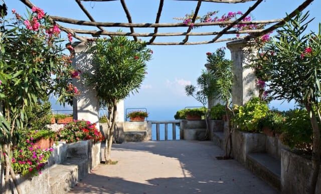 piante da terrazzo