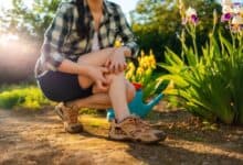 Proteggere il giardino dalle zanzare